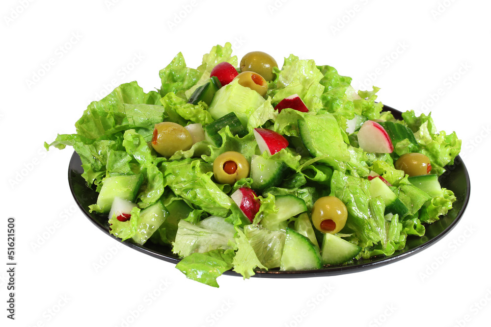 fresh green lettuce spring salad  isolated