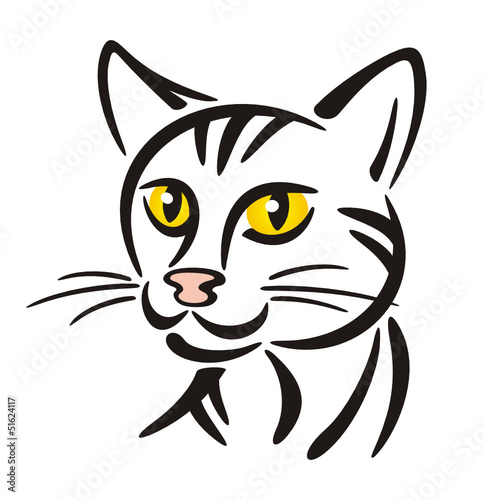Symbol Cat