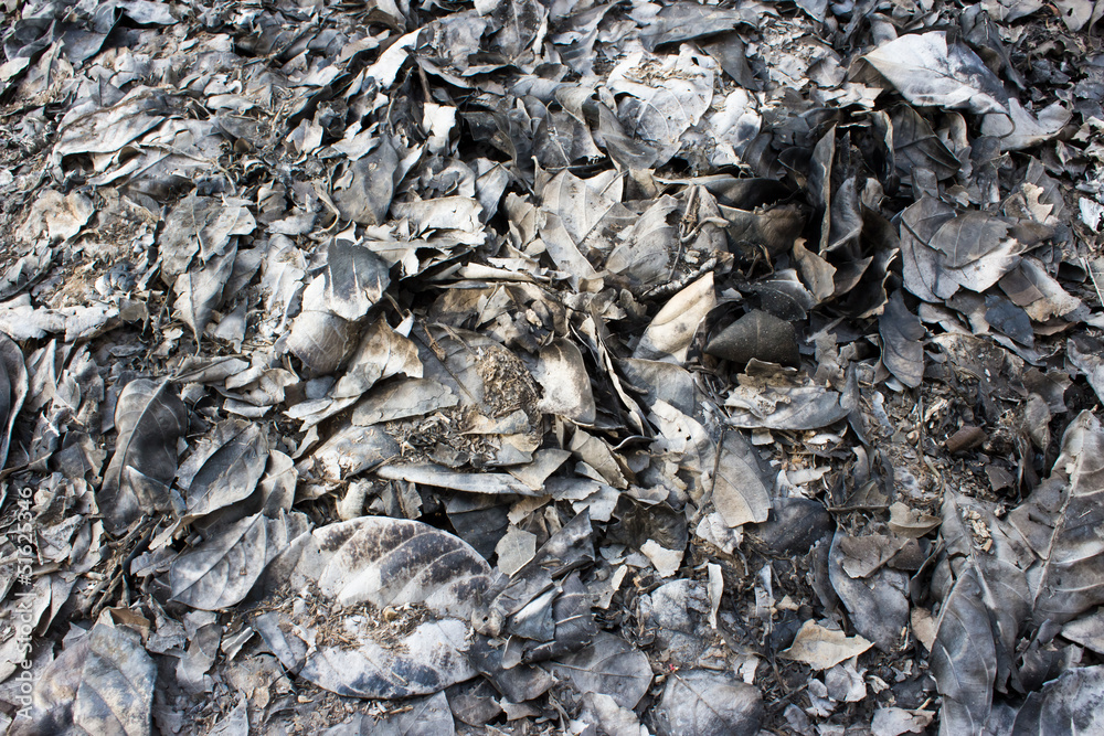 Ashes texture, may use as a background Ashes texture, may use as a background
