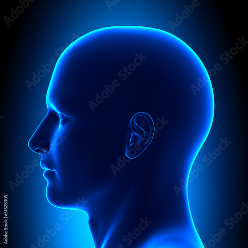 Anatomy Head - Left Side View - Blue concept