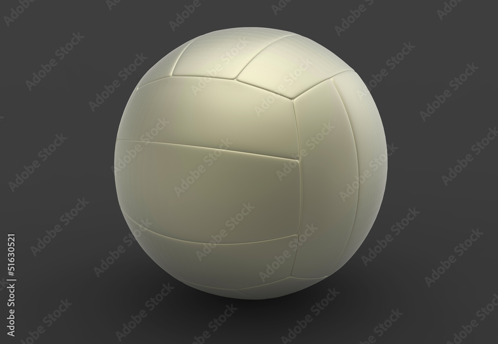 volleyball 3D