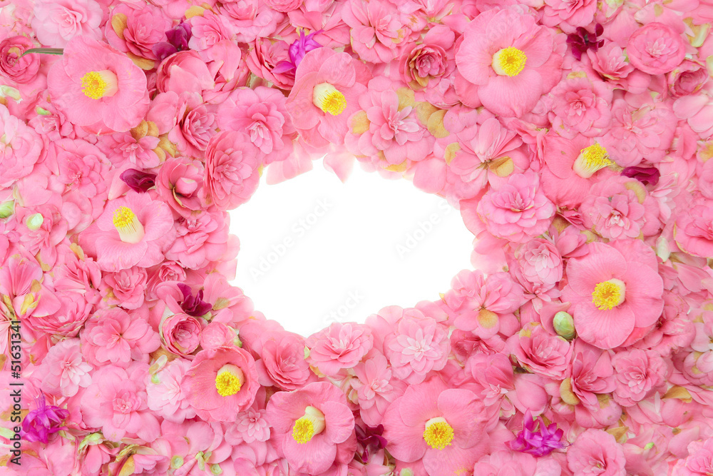 camellia frame camellia frame
