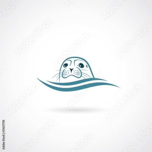 Seal animal