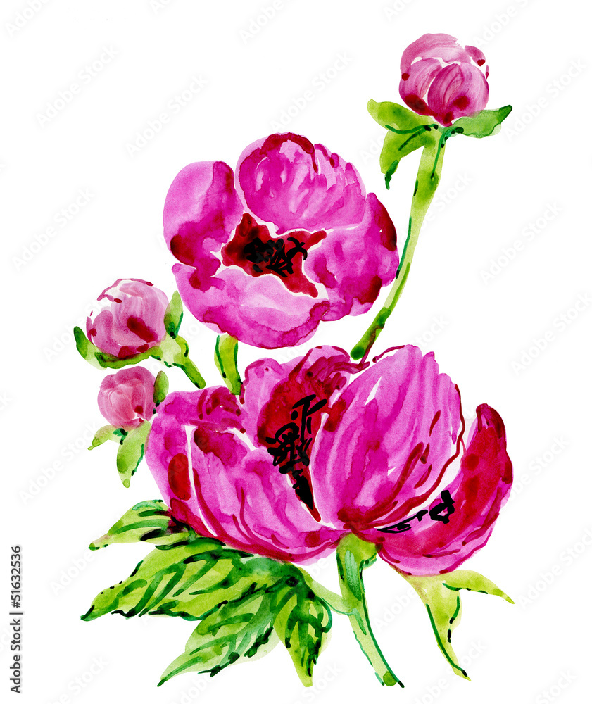 Watercolor pink peonies Watercolor pink peonies