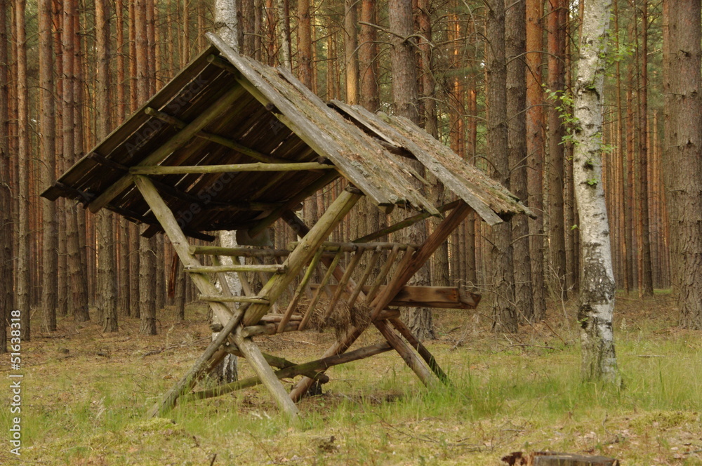 Stary paśnik.