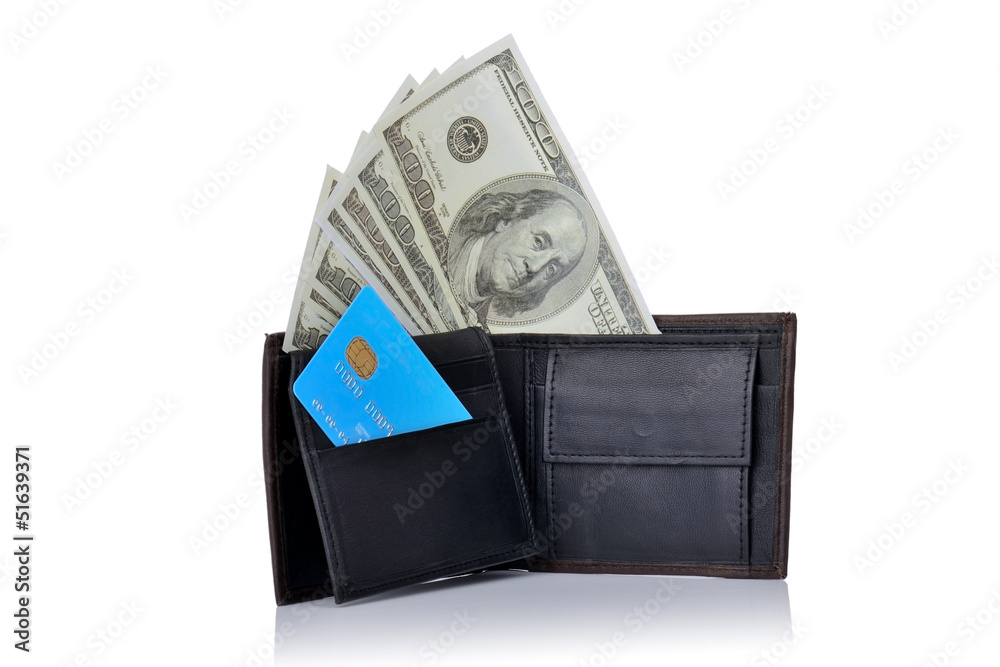 wallet with dollars stood