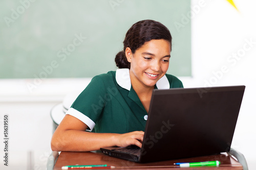 schoolgirl doing classwork using computer