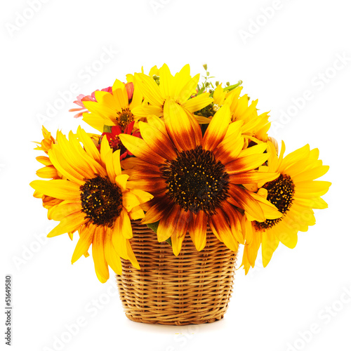 Fototapeta Naklejka Na Ścianę i Meble -  sunflowers in basket isolated