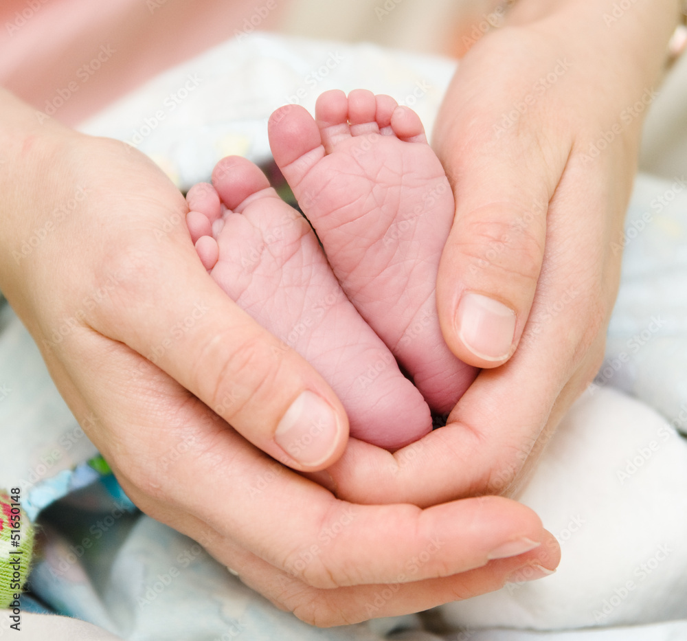 Baby feet cupped into mothers hands Baby feet cupped into mothers hands