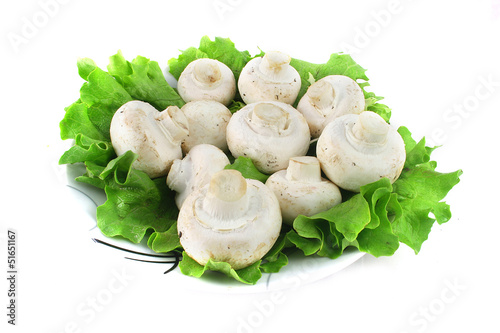 Fresh mushrooms and green salad in a platel isolated on white photo