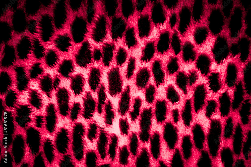 leopard skin texture leopard skin texture