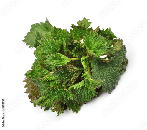 Fresh nettle