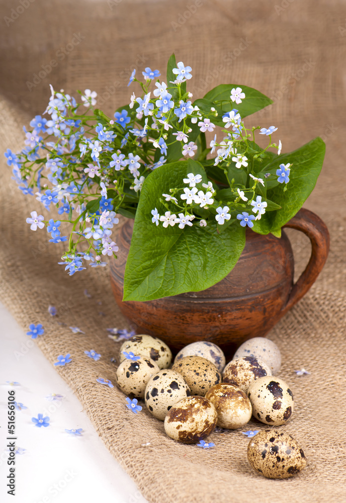 on a sacking nest, quail eggs and forget-me-not flowers on a sacking nest, quail eggs and forget-me-not flowers
