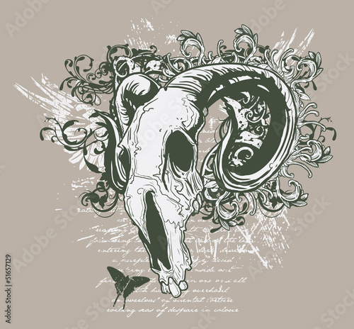 Horned skull