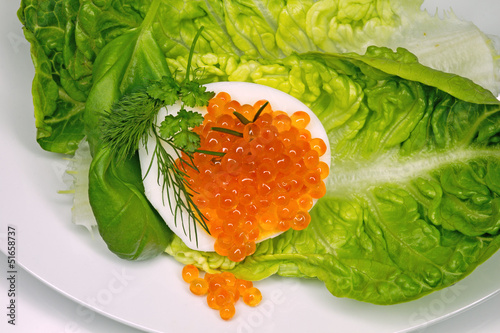 Kaviar rot auf Salatteller