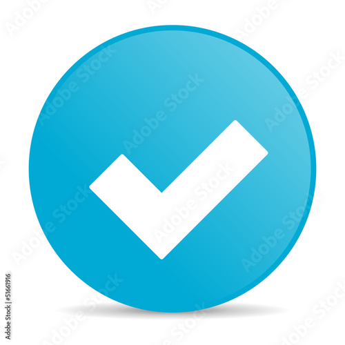 accept blue circle web glossy icon