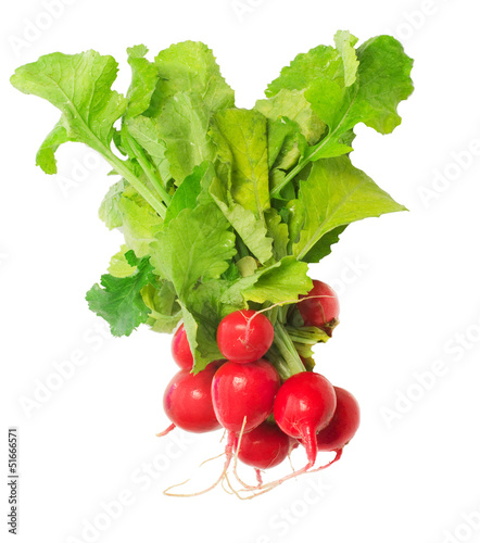 radish bunch