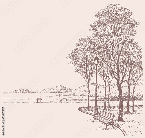 Vector park landscape. Bench near the lantern under trees