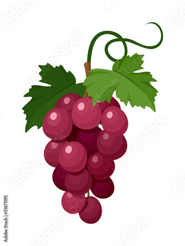 Red grapes. Vector illustration.