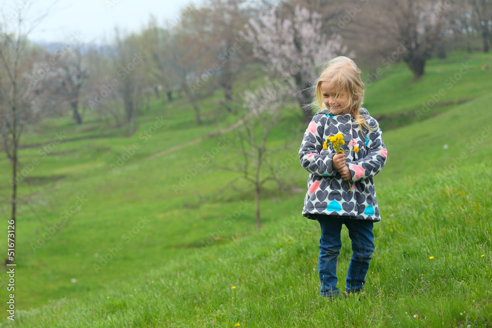 girl with dandelions girl with dandelions