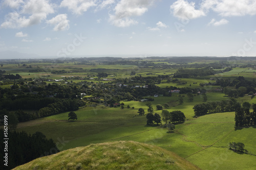 New Zealand rural scene