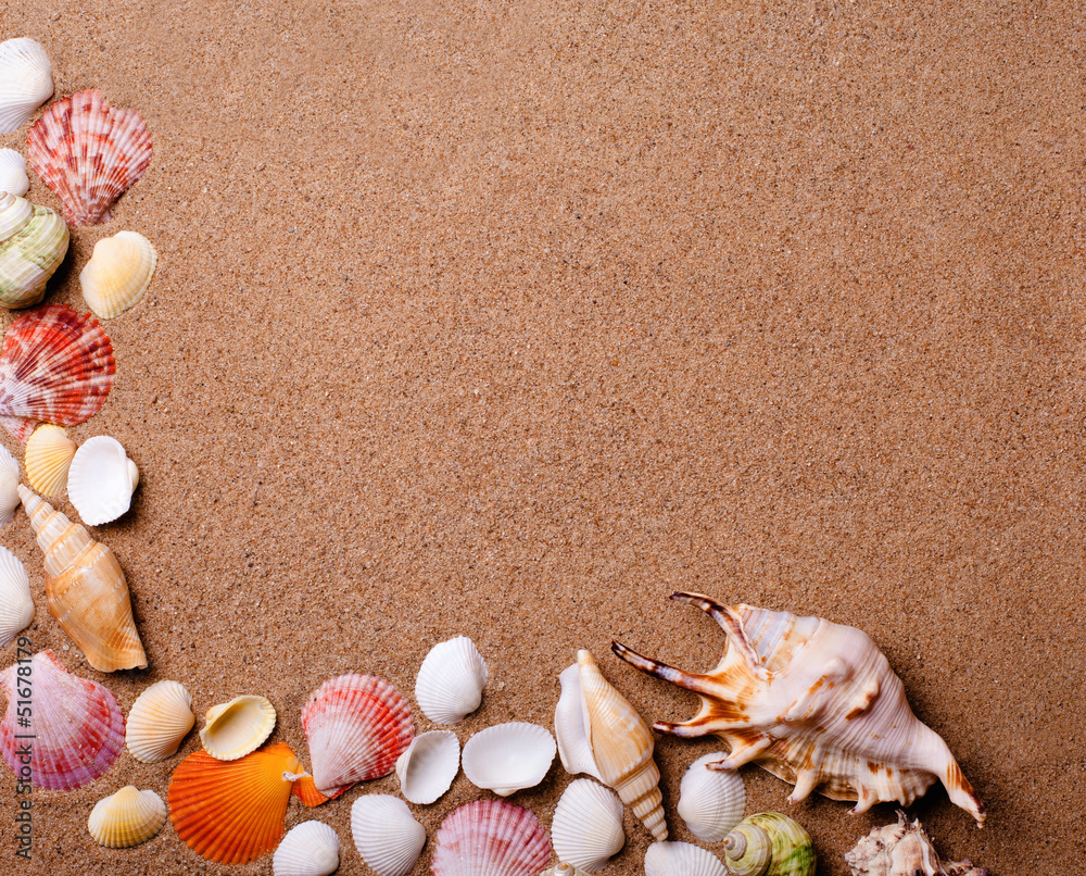 Shell and sand as background