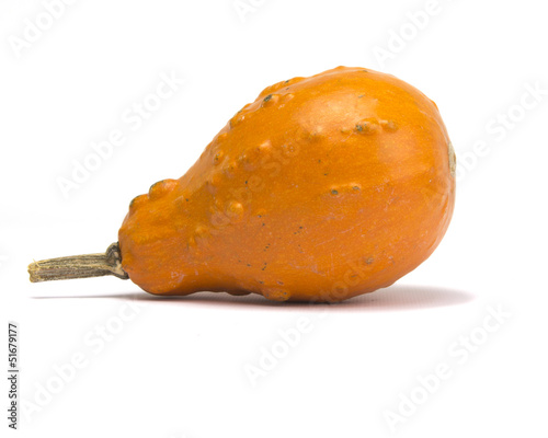 Gourd Isolated on White Background