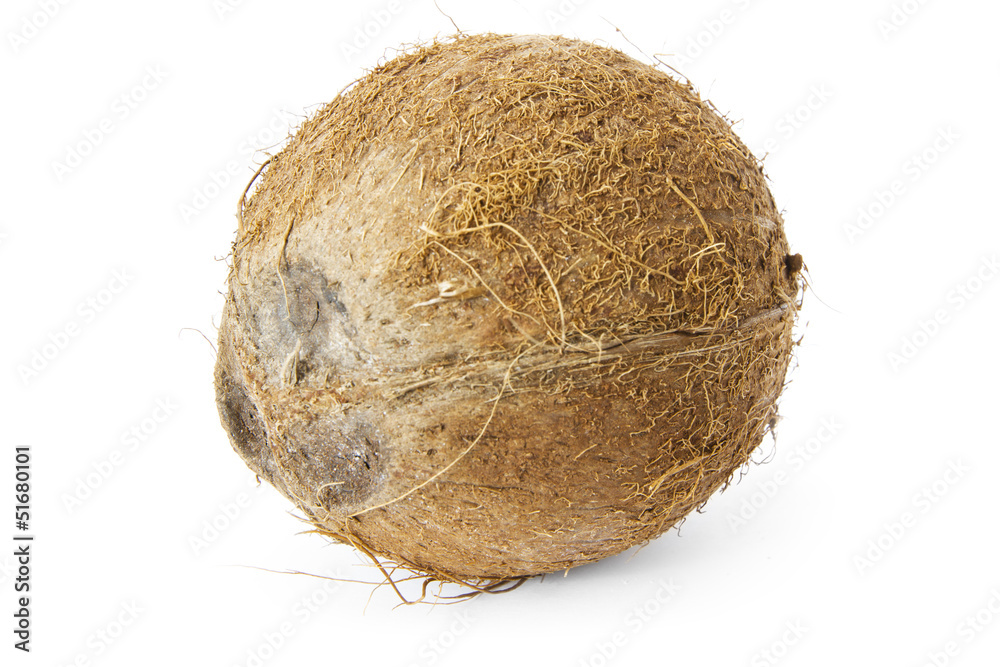 Coconut