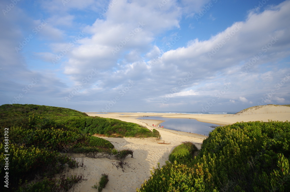 Fototapeta premium embouchure du courant d'huchet - moliets et maa