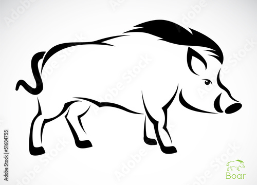 Vector image of an boar on white background