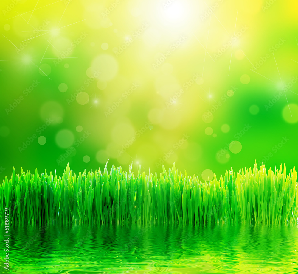 Obraz premium Green nature background with fresh grass and water