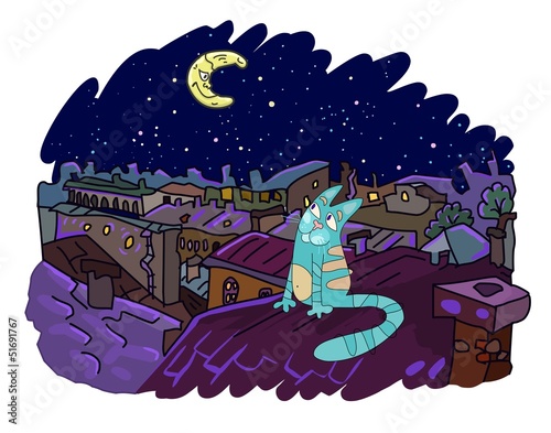Cat on the roof at night