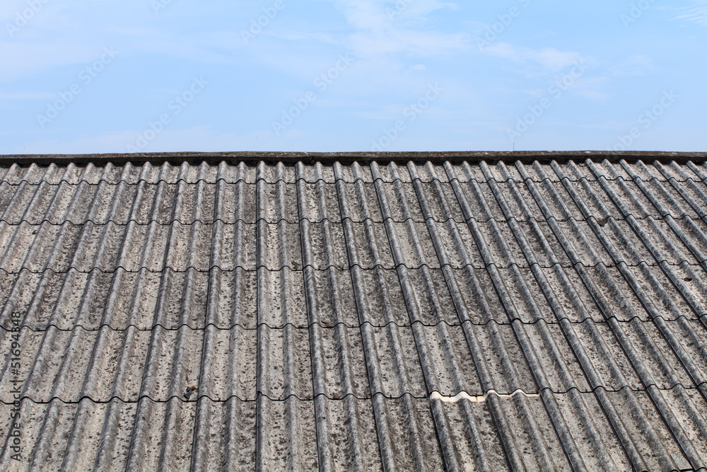 Fototapeta premium Roof house2