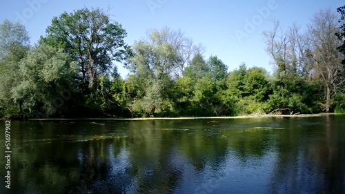 Flowing river and green reeds photo