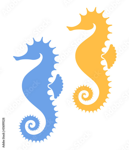 Sea Horse