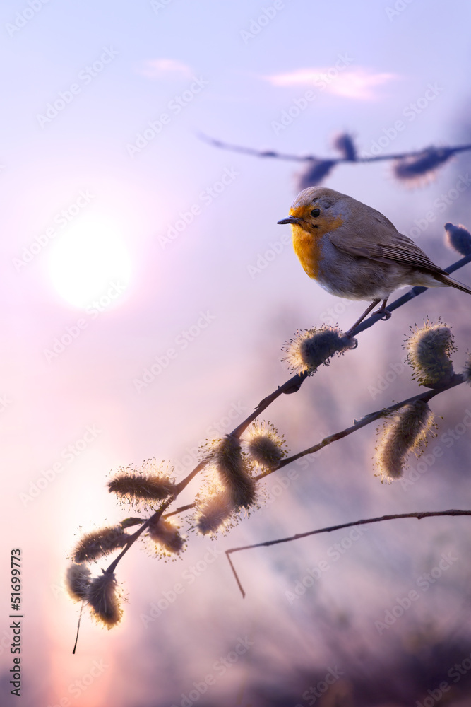 Obraz premium art beautiful spring morning nature background