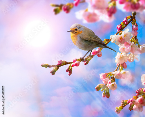 abstract Spring border background with pink blossom