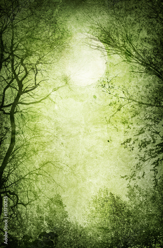 Vászonkép Vintage landscape in Gothic style