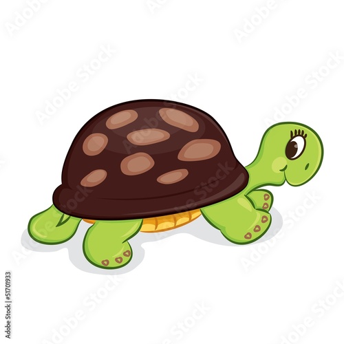 Cartoon turtle. Coloring book. Vector illustration