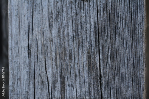 wood texture , texture de vieux bois, Textur der alten Holz