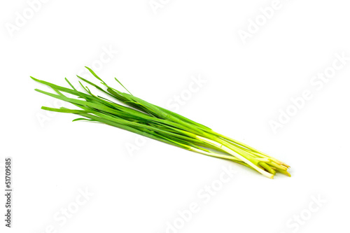  chives