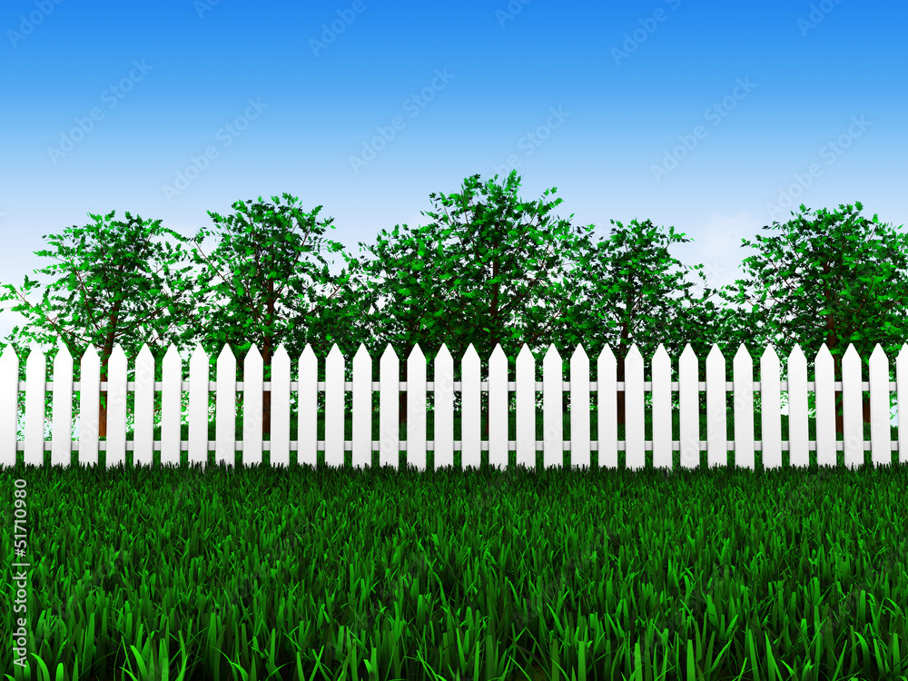 green field and trees in garden