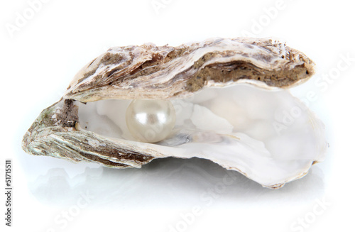 Open oyster with pearl isolated on white