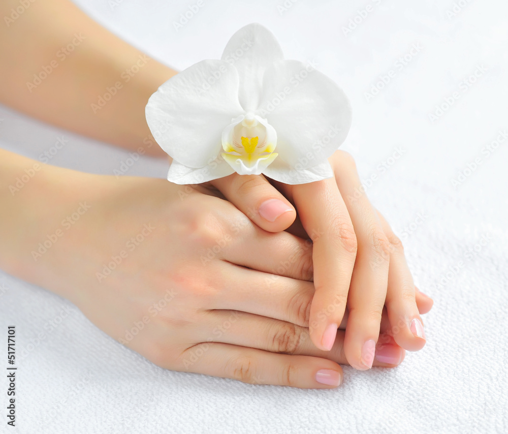 Beautiful woman hands with white orchid flower