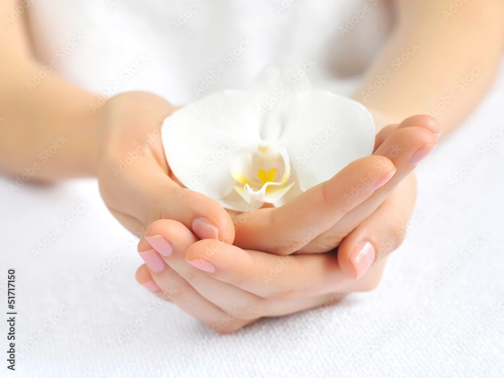 Woman hands with white orchid flower. Focus is on a hand Woman hands with white orchid flower. Focus is on a hand