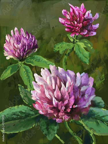 Fototapeta koniczyna