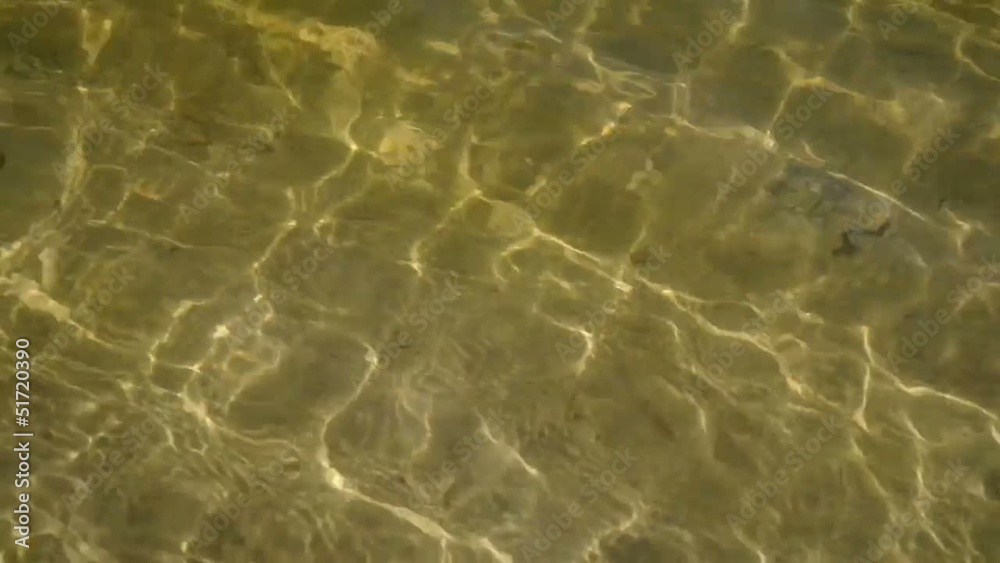 transparent water in shallow with glare from sun transparent water in shallow with glare from sun