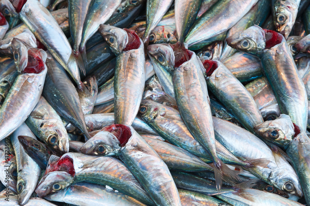 Obraz premium Fische auf dem Fischmarkt