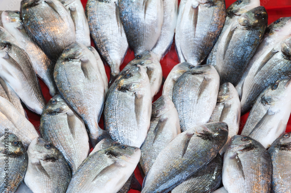 Fische auf dem Fischmarkt Fische auf dem Fischmarkt