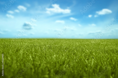 Grass with blue sky in background. Short range focus length.